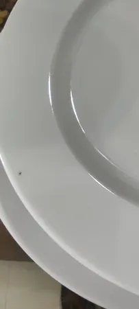 سرویس چینی 28 پارچه غذاخوری چینی زرین ایران سری ایتالیا اف مدل سفید درجه عالی