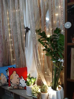 ریسه ال ای دی مفتولی کد 100LED طول 10 متر