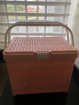 سبد پیک نیک لیمون مدل hm166