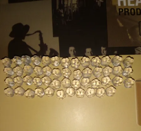 پشت گوشواره طرح گل بسته 50 عددی