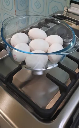 ظرف پخت پاشاباغچه کد 59023