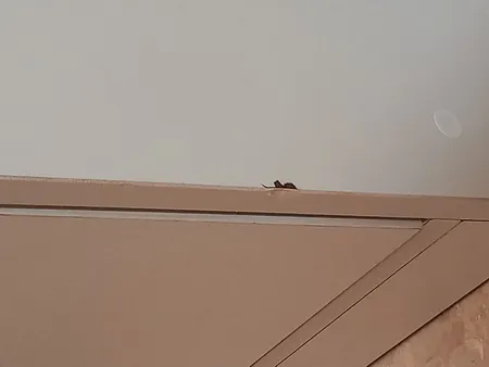 فایل کشویی مدل آرین