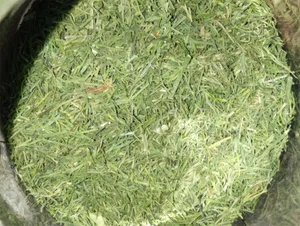 تجریه خرید سبزی خشک شويد ضامن - 60 گرم