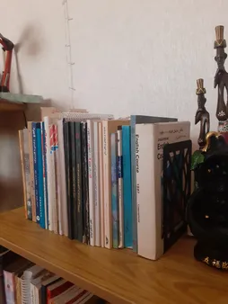 نگهدارنده کتاب مدل BOOKEND بسته 2 عددی