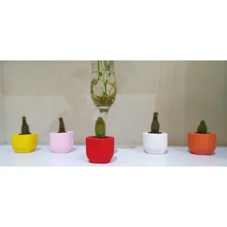 پودر سیمان سفید کد 02 وزن 2 کیلوگرم