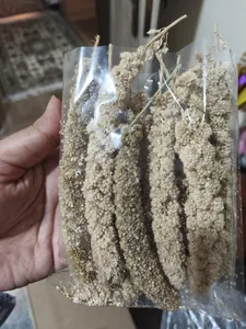 تجریه خرید غذای پرنده مدل ارزن خوشه ای کد SP7 بسته 10 عددی