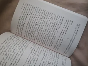 تجریه خرید کتاب اسب سیاه اثر اگی اگاس انتشارات آیین محمود