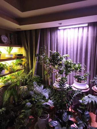 وال واشر ال ای دی رشد گیاه 24 وات مدل پارلین