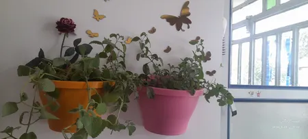 گلدان دیواری شهرآذین مدل 9025