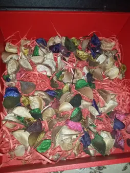 گل خشک بسته بندی مدل رنگارنگ