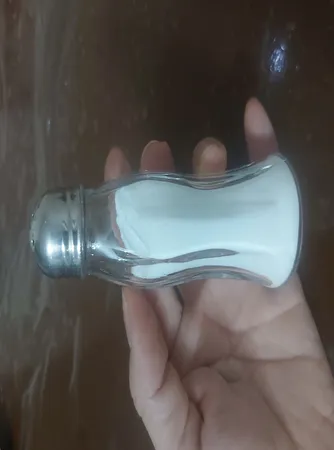 نمک پاش پاشاباغچه کد 80030 بسته 2 عددی