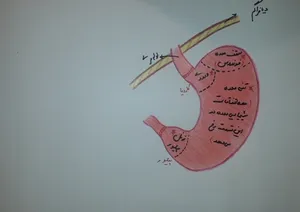 تجریه خرید مداد رنگی 12 رنگ آسیا مدل A-12