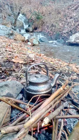 کتری مدل W20-0.8L