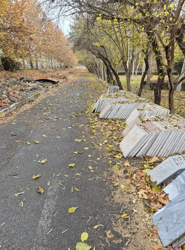 گوشی موبایل سامسونگ مدل Galaxy S25 FE دو سیم کارت ظرفیت 256 گیگابایت و رم 8 گیگابایت - ویتنام