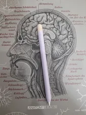 تجریه خرید کاور آها استایل مدل PT65-2 مناسب برای قلم لمسی اپل سری 2