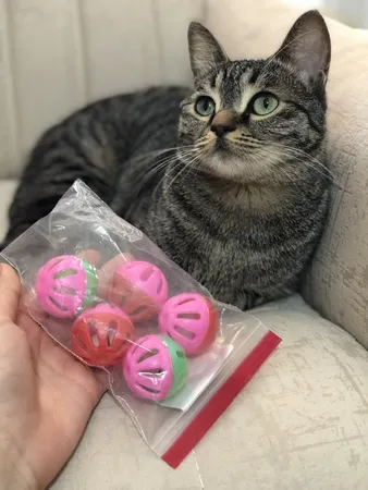 اسباب بازی گربه و سگ توپ زنگوله دار مدل Plastic Bell Balls بسته 6 عددی