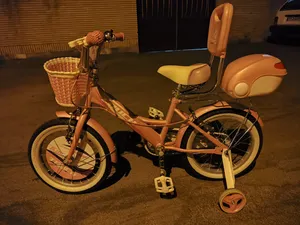 تجریه خرید دوچرخه کودک مدل تاچ کد 229 سایز طوقه 16