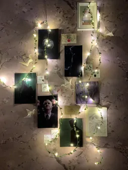 ریسه ال ای دی طرح برگ طول 5 متر