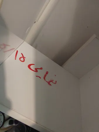 کتابخانه رومیزی مدل کاکتوس