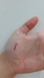 مداد لب گلدن رز مدل Dream شماره 504