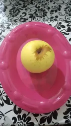 پیش دستی هوم ساپلای کد 7843 بسته 4 عددی