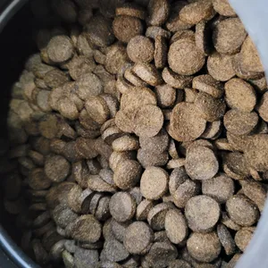 تجریه خرید غذا خشک سگ شدو مدل Maxi Adult وزن 5 کیلوگرم