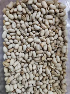 تجریه خرید سویا آجیلی نمکی صنایع غذایی شاد - 1200 گرم