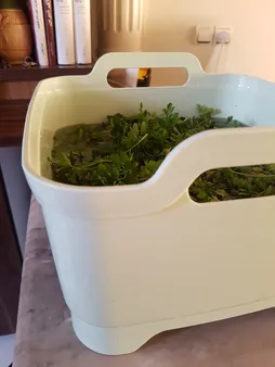 آبگیر لیمون کد ML90