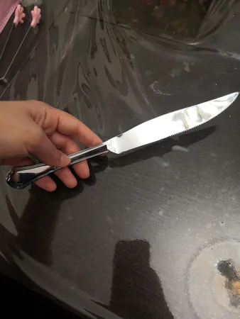 کارد سرو گوشت صنایع استیل ایران مدل پاشا رویال براق