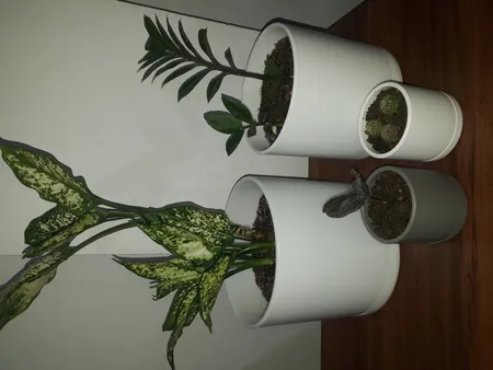 گلدان طرح استوانه مدل مهرنی 7.5-103