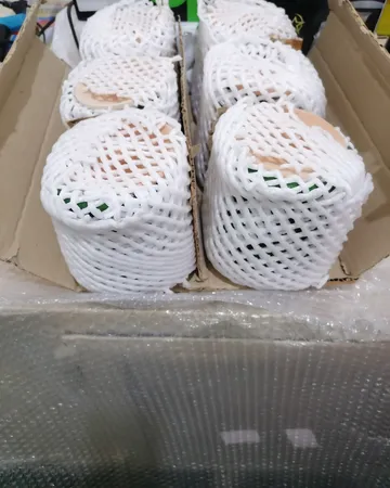 ظرف دیزی سفالی مدل یک نفره بسته 6 عددی