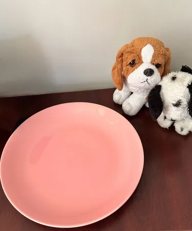 بشقاب
غذاخوری مدل کلارا