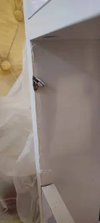 کتابخانه رومیزی مدل کاکتوس