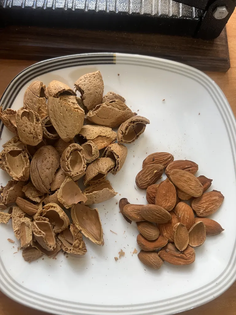 بادام شکن آرام مدل professional