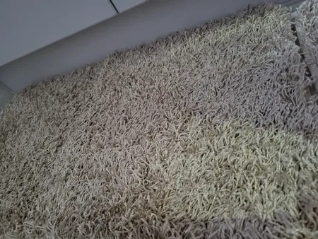 پادری فرش مریم مدل Long Lint سایز 70x40 سانتی متر