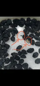 تجریه خرید مویز سیاه بدون هسته دستچین کالا - 900 گرم