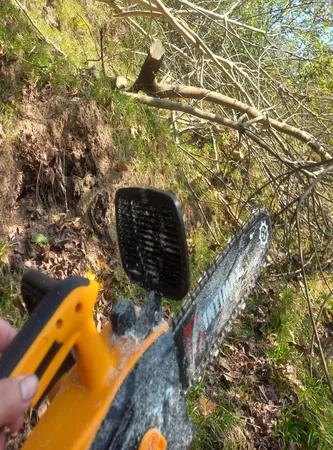 اره زنجیری شارژی  اینتیمکث کد 100171