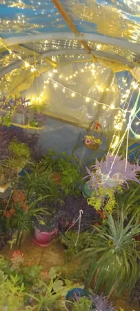 ریسه ال ای دی کد 25025 طول 25 متر