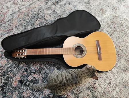 گیتار پارسی مدل M5