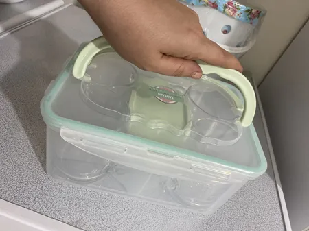 ست پیک نیک لیمون مدل 4 نفره کد 1783