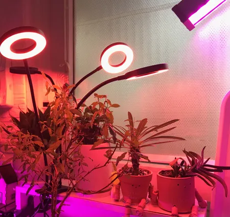 چراغ رشد گیاه 40 وات مدل Quad Circle