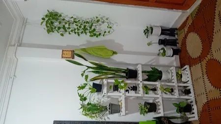 استند گلدان مدل A06-B1