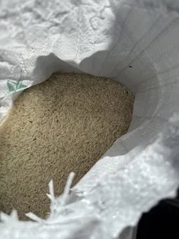 برنج طارم عطری ممتاز مازندران - 10 کیلوگرم