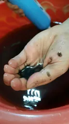 فیلتر یخچال ساید بای ساید مدل HEALTHIER