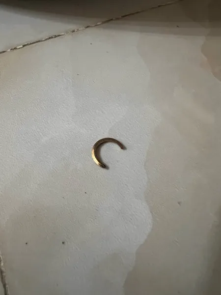 کمپرسور باس مدل 10lit-silent