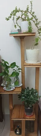 استند گلدان مدل i8