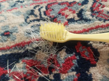 مسواک دن تک مدل Easy Clean با برس خیلی نرم مجموعه 2 عددی