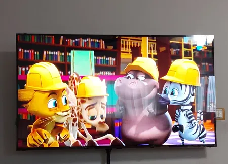 محافظ صفحه نمایش تلویزیون مدل N55 مناسب برای تلویزیون 55 اینچ