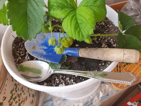 بیلچه گرین مدل v20