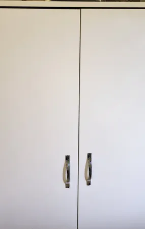 ارگانایزر مدل کاراکو